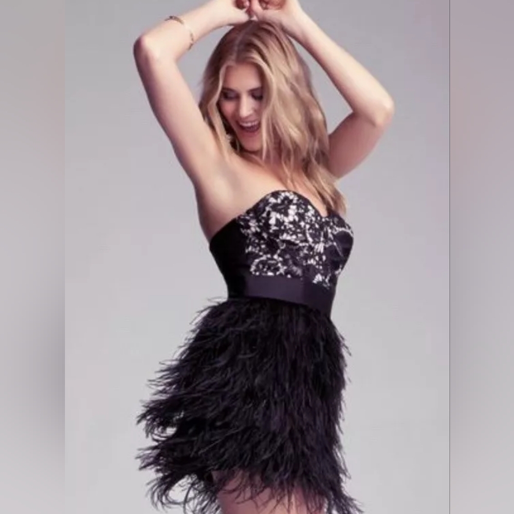 Bebe Lace + Ostrich feather dress